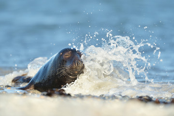 Fototapety na wymiar - Fototapeta24.pl