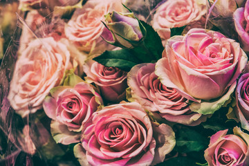 Wall of flowers in a flower shop