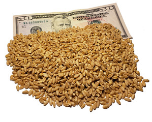 Grain Wheat Prices  on Fifty Dollar Bill