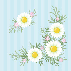 マーガレットアレンジ