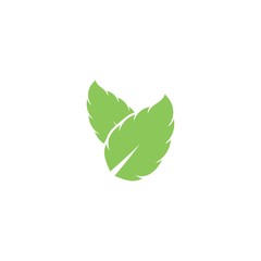 Mint leaf vector icon illustration