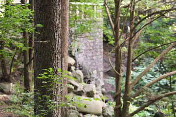 Stone Balcony in the Woods