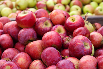 Apples at the Market