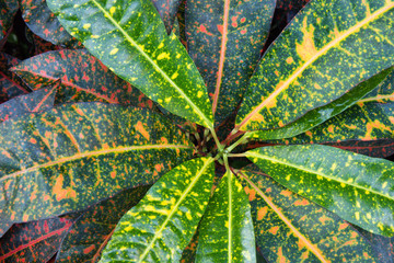 Croton Center © Matthew