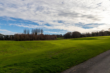 Green field, Dublin