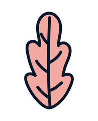 leaf foliage botanical ecology nature icon