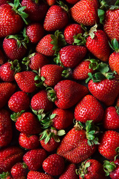 Strawberries laid out for a background
