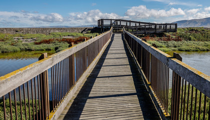 Fototapeta premium Wooden Bridge to Overlook