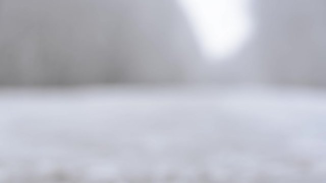 The offset of the blurred background to focus. View of the snowy road.