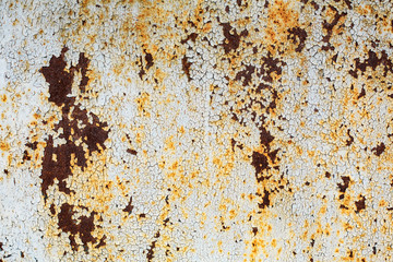 texture of an old rusty sheet of metal painted with white paint burnt out in the sun