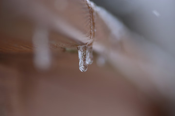 Icicle drip on wooden rail