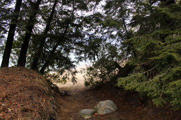 Fototapeta premium Hidden Beach Path