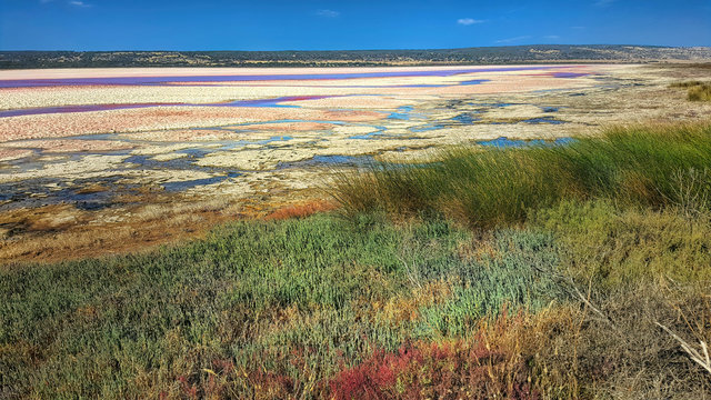 Hutt Lagoon In Western Australia