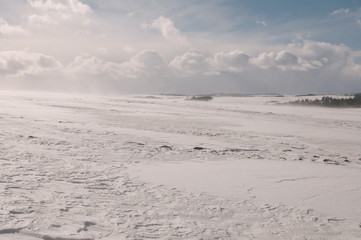 Skitouring in Jeseniky mountains