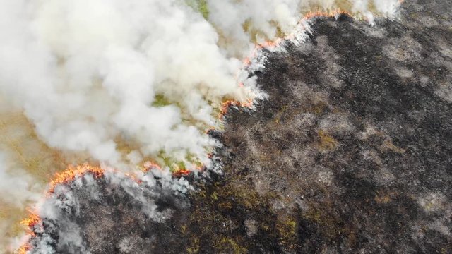 Epic aerial view of smoking wild fire. Large smoke clouds and fire spread. Forest and tropical jungle deforestation. Amazon and siberian wildfires. Dry grass burning in the field, drone footage