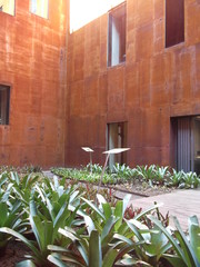 House with flowers. Brown wall