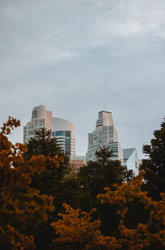 La ciudad complementada