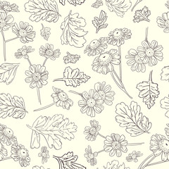 Botanical pattern of flowers and camomile leaves