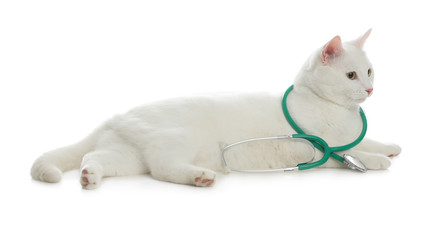 Obraz premium Cute cat with stethoscope as veterinarian on white background