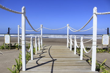 Naklejka premium wooden path to the beach shore