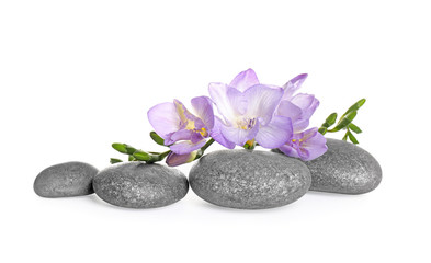 Spa stones and freesia flowers on white background