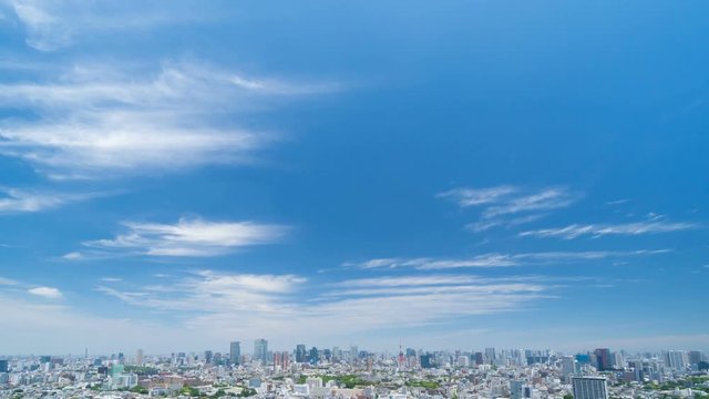 東京風景　タイムラプス　春　新緑