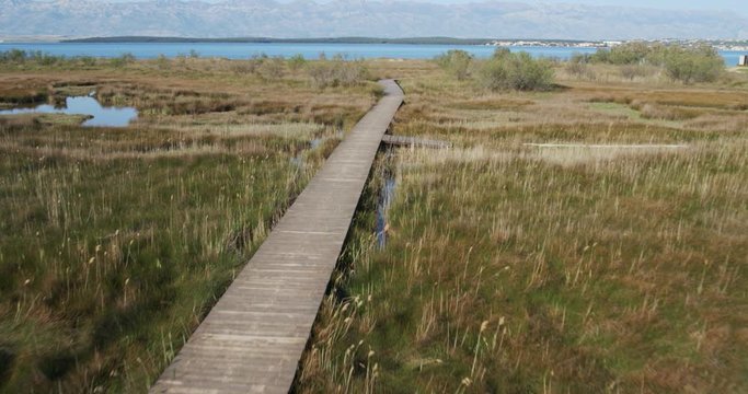 Walkway over the glasswort salt marsh in Nin, Croatia