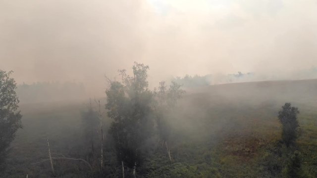 Forest fire smoke spreading. Smog above fields and forests. Intense air pollution. Smoke billows from a forest wildfire. Heat wave, drought, global warming, loss of timber.
