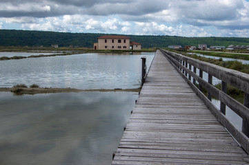 Fototapeta na wymiar Secovlje Saltworks largest Slovenian salt evaporation pond on Adratic sea, natural and industrial landscape in Slovenia Piran