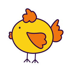 chicken bird domestic farm animal cartoon