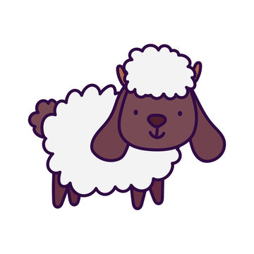 cute sheep farm animal cartoon