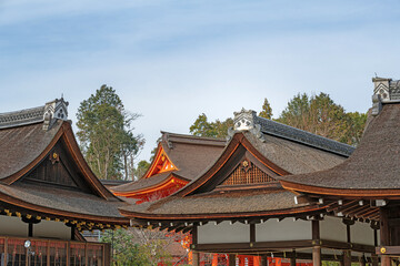 京都 上賀茂神社 境内の風景