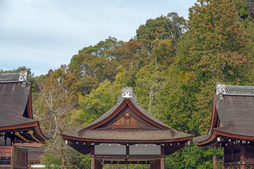 京都 上賀茂神社 境内の風景