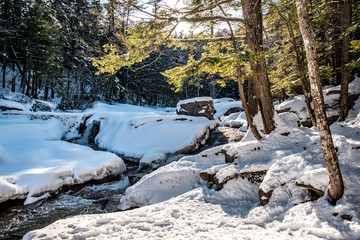 Winter landscape with river in forest, New Hampshire