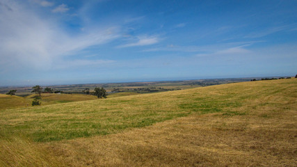 Fototapeta premium Landscape view of an open farm land in rural Victoria, Australia during one hot summer day. Lack of rain makes the grass appears yellow and dry