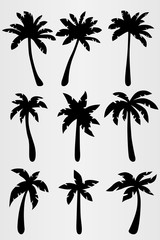 Set of nine palm trees. Set for the design of various travel artworks, brochures, posters, etc.