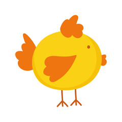 chicken bird domestic farm animal cartoon