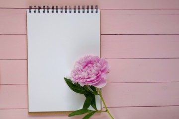Peony flowers.  Spring mood Flat Lay.Floral mockup.Spring To Do List.Blank notebook, pink peony flowers  on a pink wooden background.Tender spring floral background in pink colors.