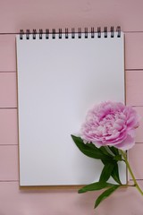 Peony flowers.  Spring mood Flat Lay.Floral mockup.Spring To Do List.Blank notebook, pink peony flowers  on a pink wooden background. spring floral background in pink colors.