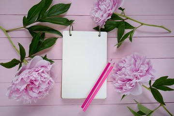 Peony flowers.  Spring mood Flat Lay.Floral mockup.Spring To Do List.Blank notebook, pink peony flowers and pink pencils on a pink wooden background.Tender spring floral background in pink colors.