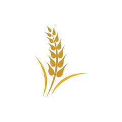 Wheat logo vector icon