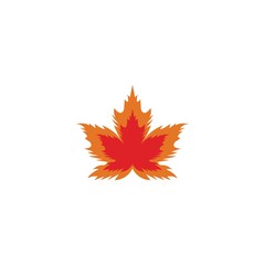 Vector illustration of autumn red and orange maple leaves with white background
