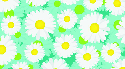 daisy flower pattren design 01