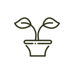 potted plant leaves decoration nature line design