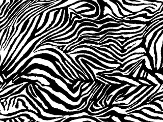 Fototapeta na wymiar Vector animal zebra print. Seamless Tiger pattern.