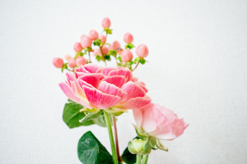 Naklejka na ściany i meble ピンク色の花
