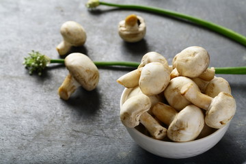 Healthy vegetables background- wild mushrooms