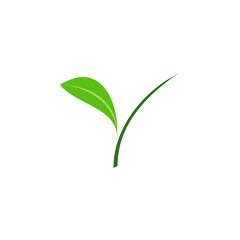 Y letter with Leaf logo design vector