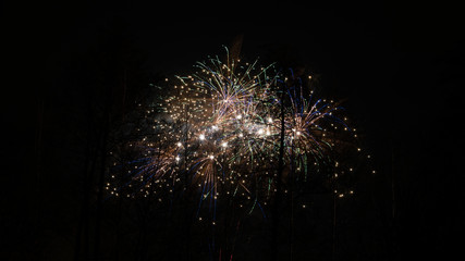 Fireworks in the dark black sky behind the forest.