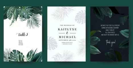 Fotobehang Tropical frames arranged from exotic emerald leaves © lavendertime